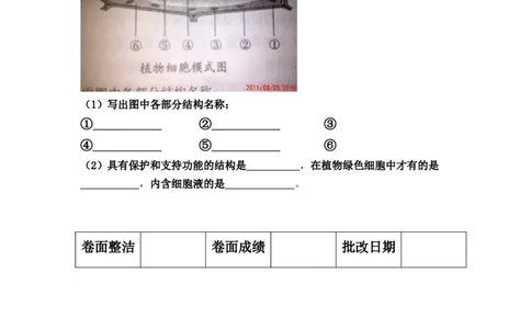 单元测试4含答案_1、初中学习资料_4-6、生物_4-6-1、初一生物上册_单元测试（20份）_2.单元测试第2套10份_第2单元