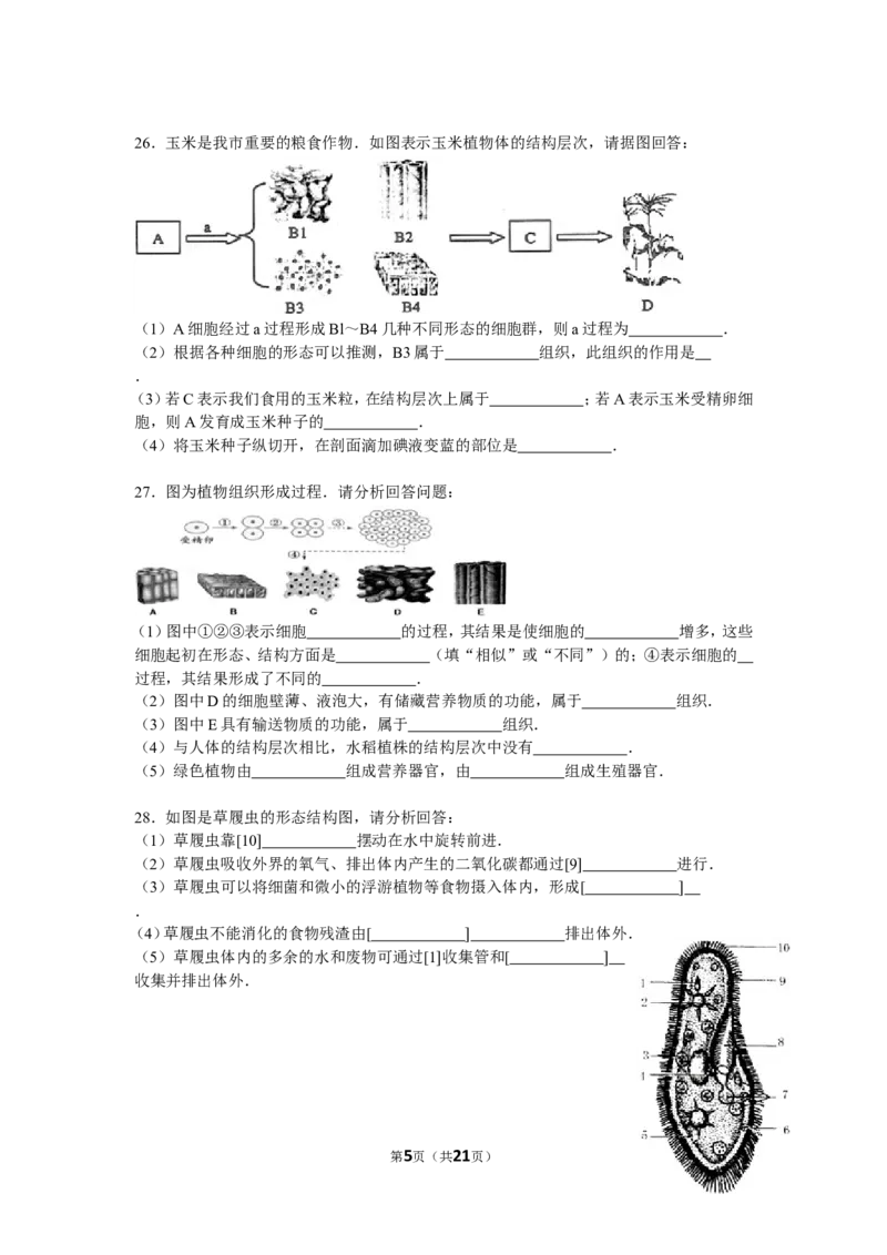 单元测试2含答案_1、初中学习资料_4-6、生物_4-6-1、初一生物上册_单元测试（20份）_2.单元测试第2套10份_第2单元