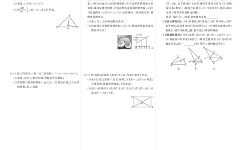 华九数上试卷_1、初中学习资料_24秋试卷_《期中模拟卷》24秋_7-9上册（2024秋）_初中数学《期中模拟卷》7-9上册（人教版北师版华师版沪科版湘教版）_华师大