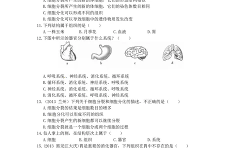 单元测试1含答案_1、初中学习资料_4-6、生物_4-6-1、初一生物上册_单元测试（20份）_2.单元测试第2套10份_第2单元