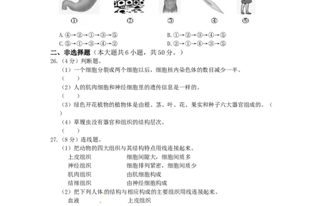 单元测试1含答案_1、初中学习资料_4-6、生物_4-6-1、初一生物上册_单元测试（20份）_2.单元测试第2套10份_第2单元