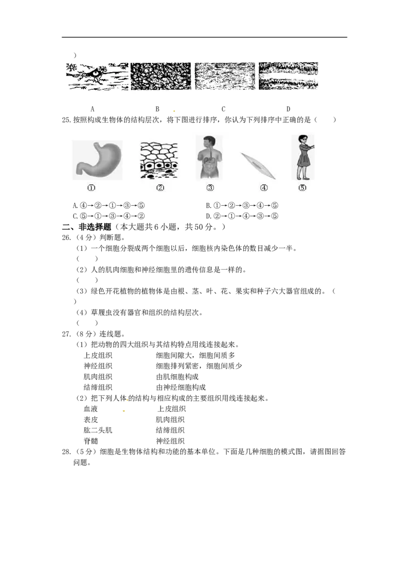 单元测试1含答案_1、初中学习资料_4-6、生物_4-6-1、初一生物上册_单元测试（20份）_2.单元测试第2套10份_第2单元