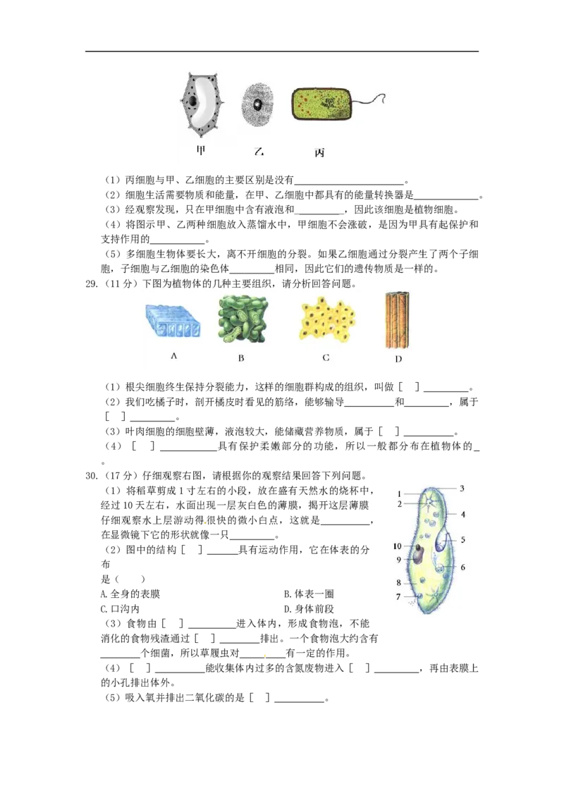 单元测试1含答案_1、初中学习资料_4-6、生物_4-6-1、初一生物上册_单元测试（20份）_2.单元测试第2套10份_第2单元