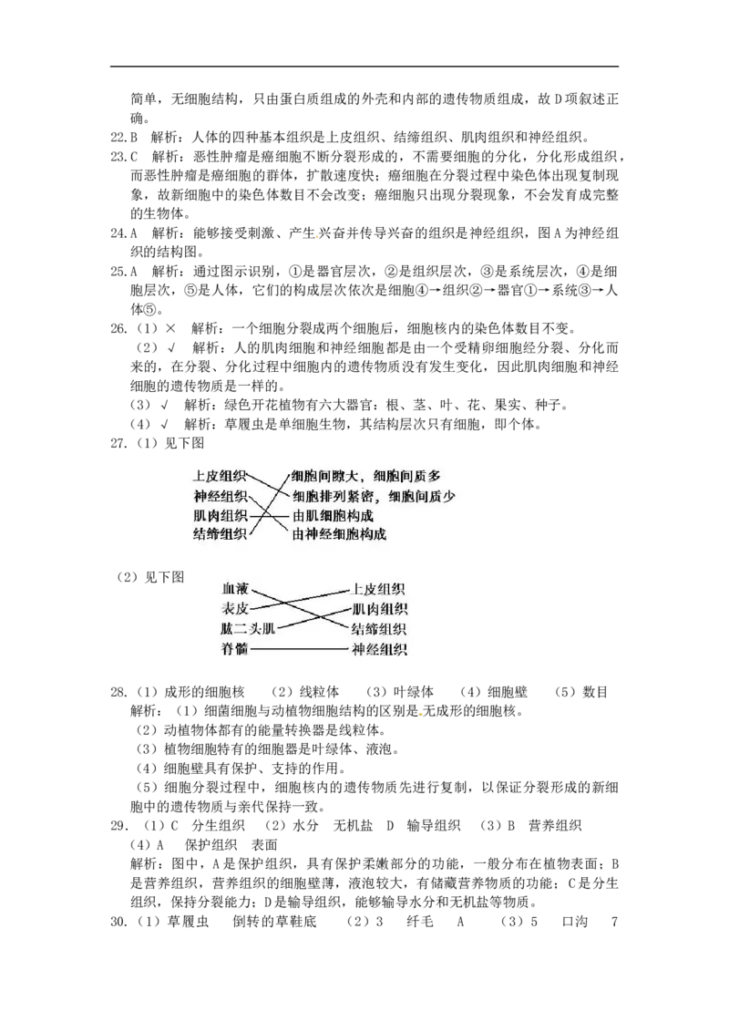 单元测试1含答案_1、初中学习资料_4-6、生物_4-6-1、初一生物上册_单元测试（20份）_2.单元测试第2套10份_第2单元