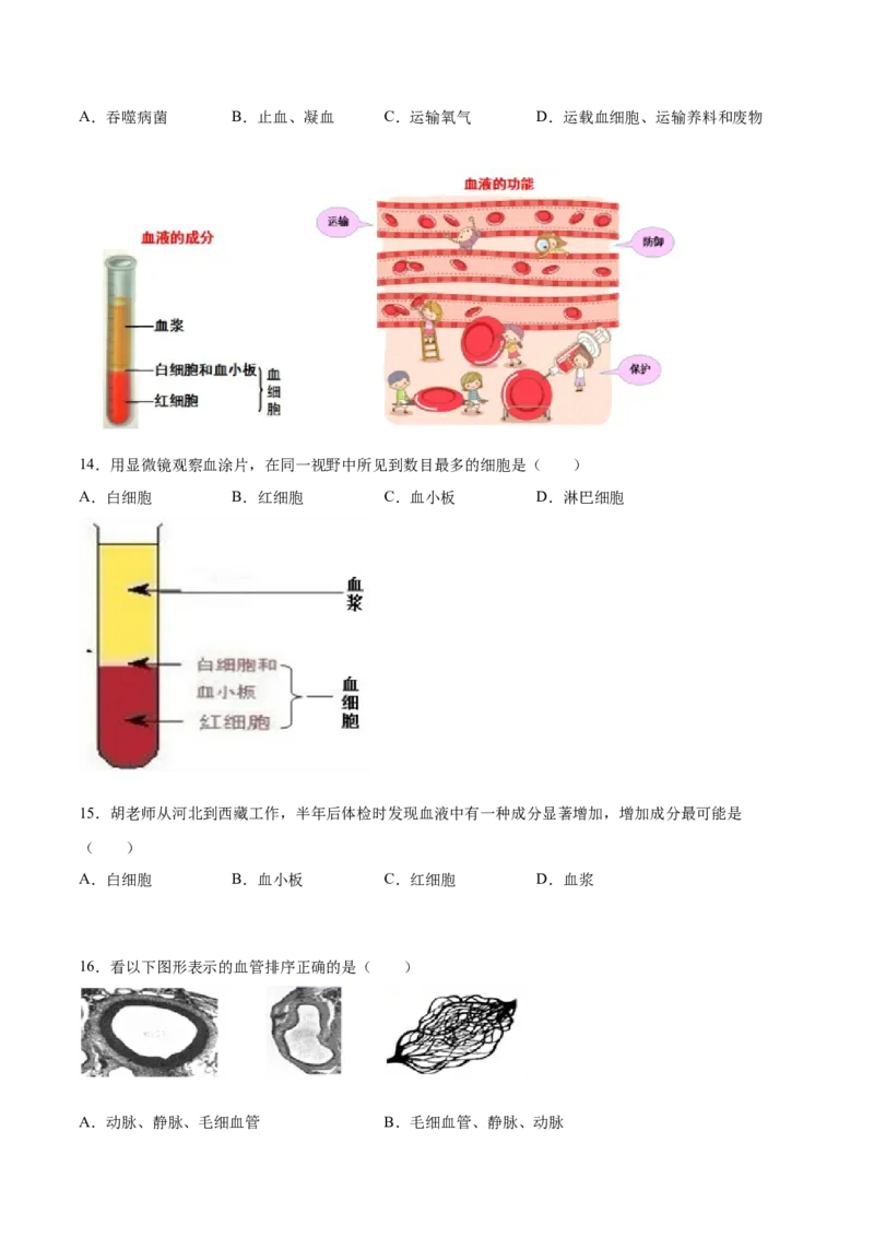 学易金卷：2020-2021学年七年级生物下学期期中测试卷（通用版）01（原卷版）_1、初中学习资料_4-6、生物_4-6-2、初一生物下册_期中试卷（5份）
