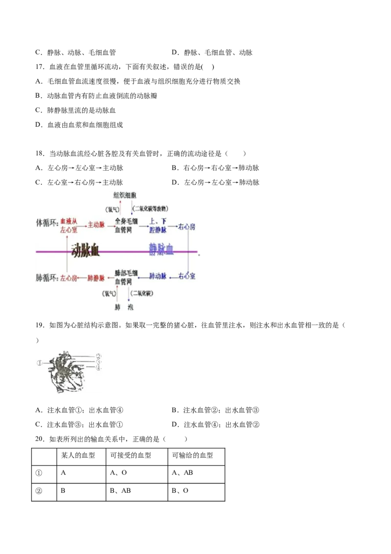 学易金卷：2020-2021学年七年级生物下学期期中测试卷（通用版）01（原卷版）_1、初中学习资料_4-6、生物_4-6-2、初一生物下册_期中试卷（5份）