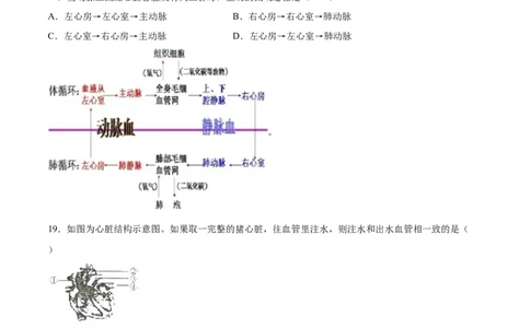 学易金卷：2020-2021学年七年级生物下学期期中测试卷（通用版）01（原卷版）_1、初中学习资料_4-6、生物_4-6-2、初一生物下册_期中试卷（5份）