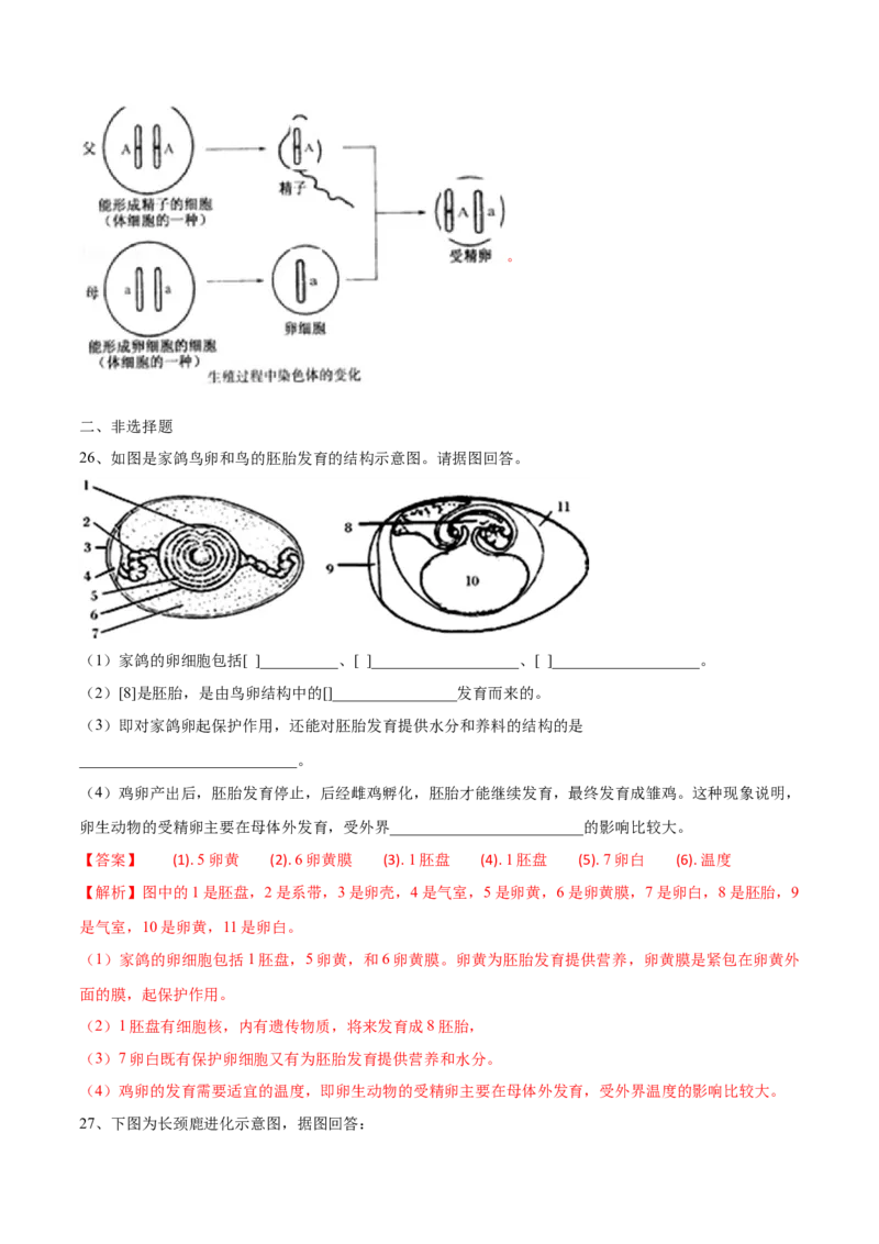 学易金卷：2020-2021学年八年级生物下学期期中测试卷（人教版）01（解析版）_1、初中学习资料_4-6、生物_4-6-4、初二生物下册_3、期中试卷（3份）