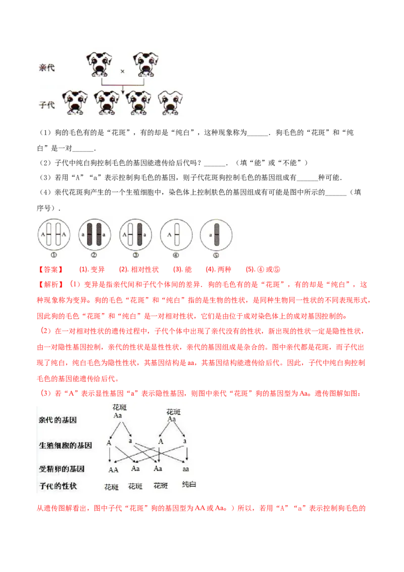 学易金卷：2020-2021学年八年级生物下学期期中测试卷（人教版）01（解析版）_1、初中学习资料_4-6、生物_4-6-4、初二生物下册_3、期中试卷（3份）