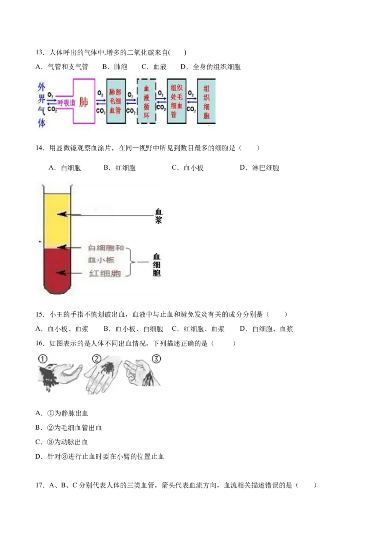 学易金卷：2020-2021学年七年级生物下学期期中测试卷（通用版）02（原卷版）_1、初中学习资料_4-6、生物_4-6-2、初一生物下册_期中试卷（5份）