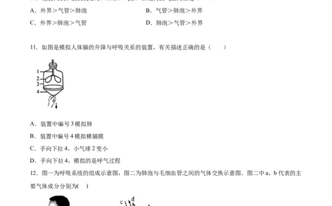 学易金卷：2020-2021学年七年级生物下学期期中测试卷（通用版）02（原卷版）_1、初中学习资料_4-6、生物_4-6-2、初一生物下册_期中试卷（5份）