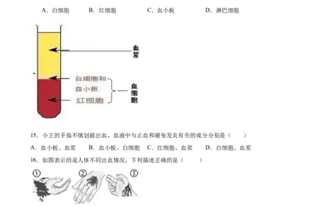 学易金卷：2020-2021学年七年级生物下学期期中测试卷（通用版）02（原卷版）_1、初中学习资料_4-6、生物_4-6-2、初一生物下册_期中试卷（5份）