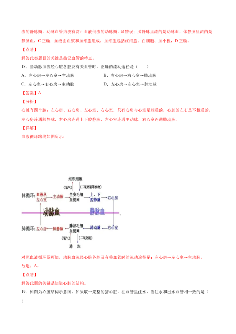 学易金卷：2020-2021学年七年级生物下学期期中测试卷（通用版）01（解析版）_1、初中学习资料_4-6、生物_4-6-2、初一生物下册_期中试卷（5份）