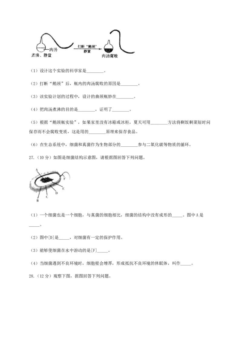 学易金卷：2020-2021学年八年级生物上学期期末测试卷01（人教版）（原卷版）_1、初中学习资料_4-6、生物_4-6-3、初二生物上册_4、期末试卷（35份）