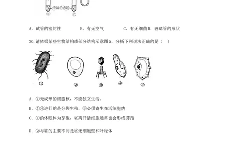 学易金卷：2020-2021学年八年级生物上学期期末测试卷01（人教版）（原卷版）_1、初中学习资料_4-6、生物_4-6-3、初二生物上册_4、期末试卷（35份）