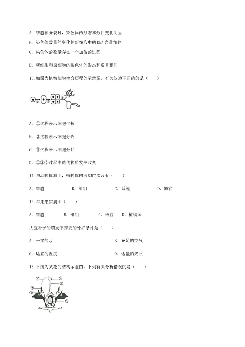 学易金卷：2020-2021学年七年级生物上学期期末测试卷03（人教版）（原卷版）_1、初中学习资料_4-6、生物_4-6-1、初一生物上册_期末试卷（8份）