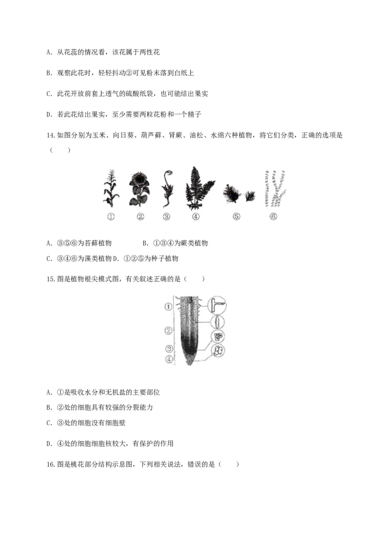 学易金卷：2020-2021学年七年级生物上学期期末测试卷03（人教版）（原卷版）_1、初中学习资料_4-6、生物_4-6-1、初一生物上册_期末试卷（8份）