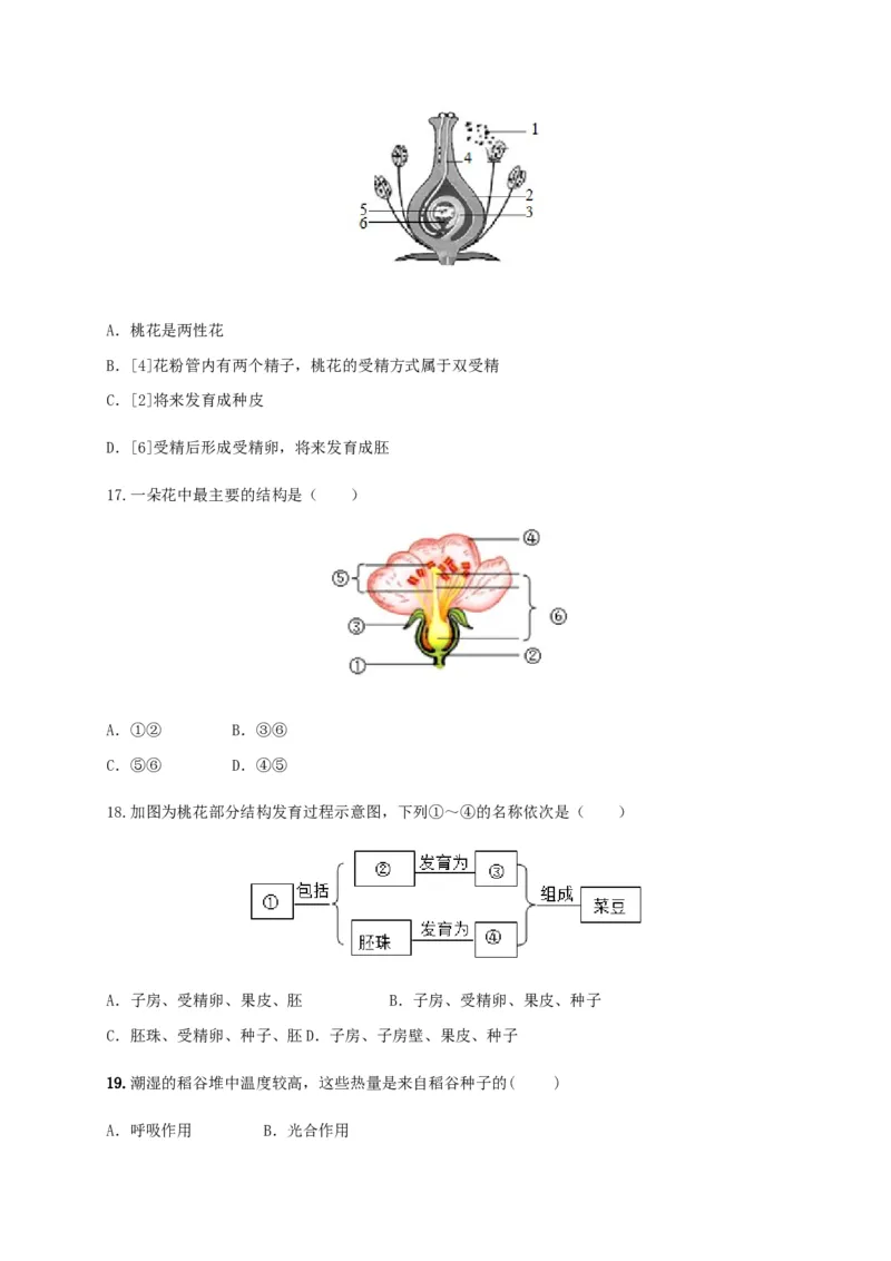 学易金卷：2020-2021学年七年级生物上学期期末测试卷03（人教版）（原卷版）_1、初中学习资料_4-6、生物_4-6-1、初一生物上册_期末试卷（8份）