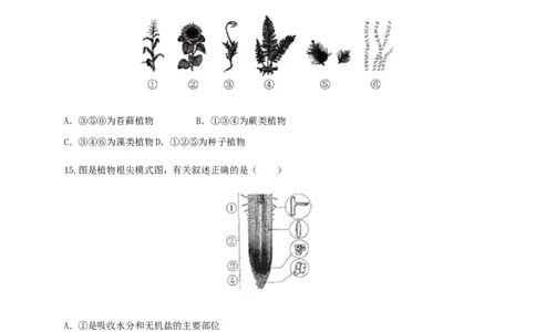 学易金卷：2020-2021学年七年级生物上学期期末测试卷03（人教版）（原卷版）_1、初中学习资料_4-6、生物_4-6-1、初一生物上册_期末试卷（8份）