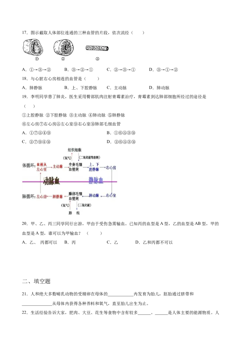 学易金卷：2020-2021学年七年级生物下学期期中测试卷（通用版）03（原卷版）_1、初中学习资料_4-6、生物_4-6-2、初一生物下册_期中试卷（5份）