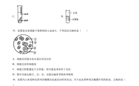 学易金卷：2020-2021学年七年级生物下学期期中测试卷（通用版）03（原卷版）_1、初中学习资料_4-6、生物_4-6-2、初一生物下册_期中试卷（5份）
