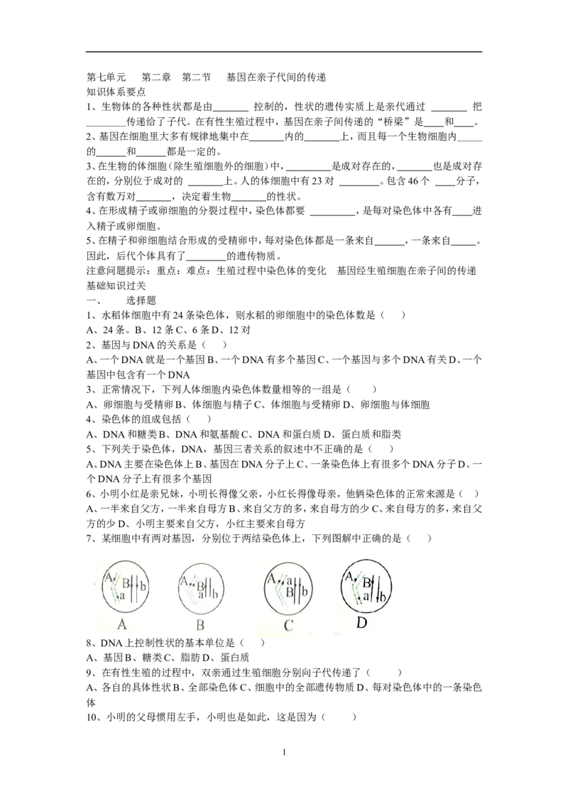 基因在亲子代间的传递同步练习2含答案_1、初中学习资料_4-6、生物_4-6-4、初二生物下册_1、同步练习（67份）_赠送同步练习53份_7.2生物的遗传与变异_第2节基因在亲子代间的传递