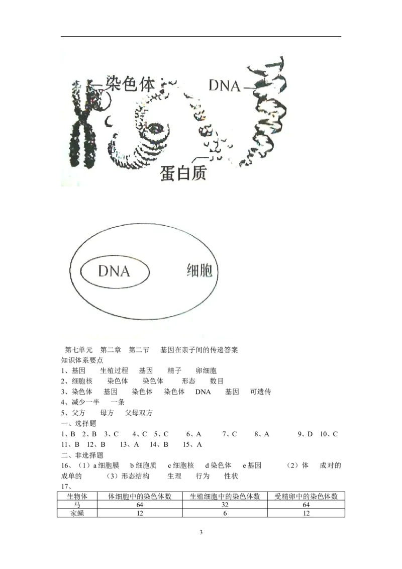 基因在亲子代间的传递同步练习2含答案_1、初中学习资料_4-6、生物_4-6-4、初二生物下册_1、同步练习（67份）_赠送同步练习53份_7.2生物的遗传与变异_第2节基因在亲子代间的传递