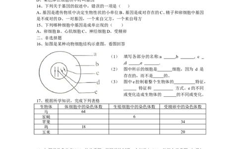 基因在亲子代间的传递同步练习2含答案_1、初中学习资料_4-6、生物_4-6-4、初二生物下册_1、同步练习（67份）_赠送同步练习53份_7.2生物的遗传与变异_第2节基因在亲子代间的传递