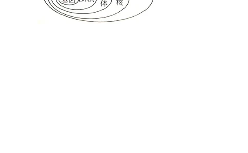 基因在亲子代间的传递同步练习2含答案_1、初中学习资料_4-6、生物_4-6-4、初二生物下册_1、同步练习（67份）_赠送同步练习53份_7.2生物的遗传与变异_第2节基因在亲子代间的传递