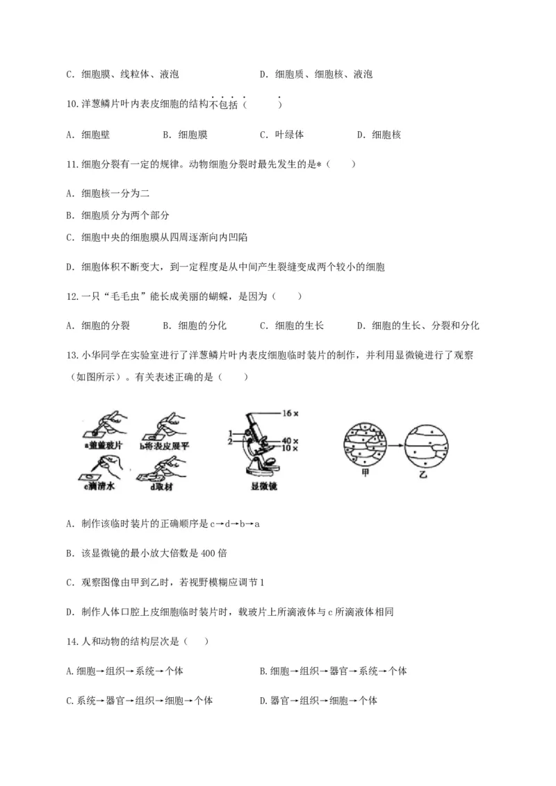 学易金卷：2020-2021学年七年级生物上学期期末测试卷02（人教版）（原卷版）_1、初中学习资料_4-6、生物_4-6-1、初一生物上册_期末试卷（8份）