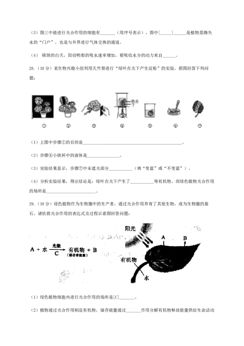 学易金卷：2020-2021学年七年级生物上学期期末测试卷02（人教版）（原卷版）_1、初中学习资料_4-6、生物_4-6-1、初一生物上册_期末试卷（8份）