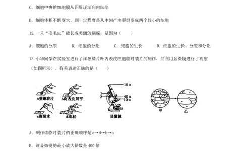 学易金卷：2020-2021学年七年级生物上学期期末测试卷02（人教版）（原卷版）_1、初中学习资料_4-6、生物_4-6-1、初一生物上册_期末试卷（8份）
