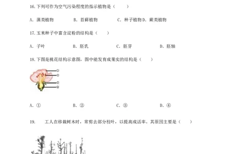 学易金卷：2020-2021学年七年级生物上学期期末测试卷02（人教版）（原卷版）_1、初中学习资料_4-6、生物_4-6-1、初一生物上册_期末试卷（8份）