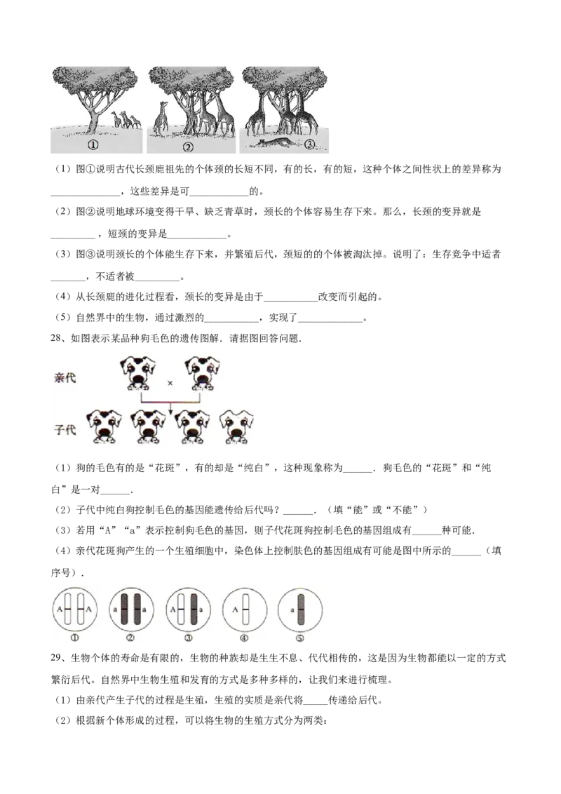 学易金卷：2020-2021学年八年级生物下学期期中测试卷（人教版）01（原卷版）_1、初中学习资料_4-6、生物_4-6-4、初二生物下册_3、期中试卷（3份）