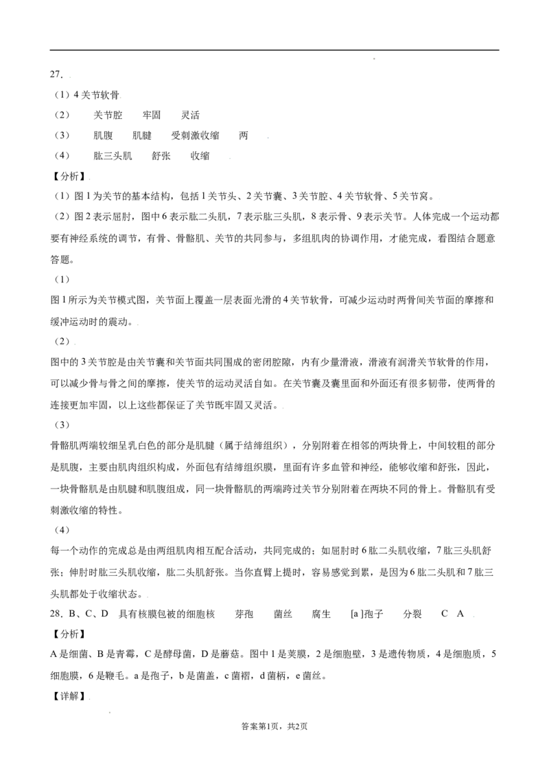 学易金卷：2021-2022学年八年级生物上学期期中测试卷（人教版）03（全解全析）_1、初中学习资料_4-6、生物_4-6-3、初二生物上册_3、期中试卷（4份）