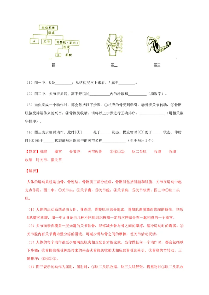 学易金卷：2020-2021学年八年级生物上学期期末测试卷05（人教版）（解析版）_1、初中学习资料_4-6、生物_4-6-3、初二生物上册_4、期末试卷（35份）