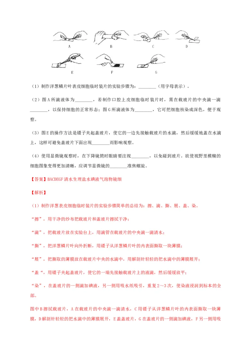 学易金卷：2020-2021学年七年级生物上学期期末测试卷01（人教版）（解析版）_1、初中学习资料_4-6、生物_4-6-1、初一生物上册_期末试卷（8份）