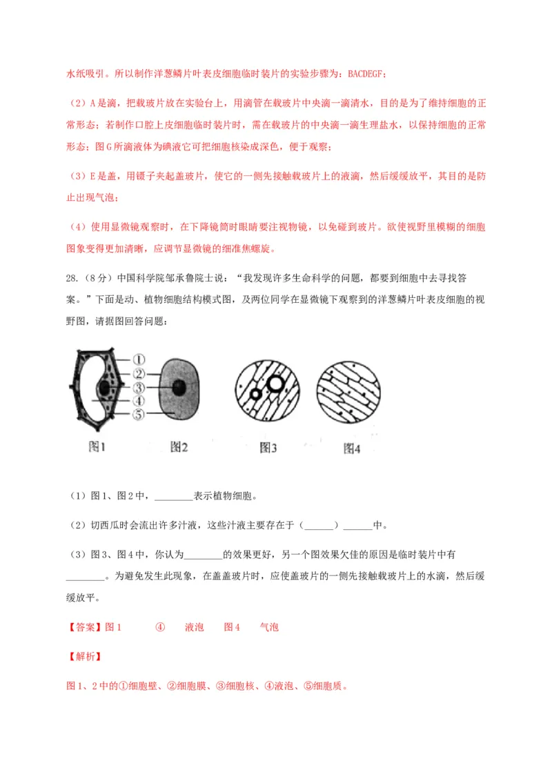 学易金卷：2020-2021学年七年级生物上学期期末测试卷01（人教版）（解析版）_1、初中学习资料_4-6、生物_4-6-1、初一生物上册_期末试卷（8份）