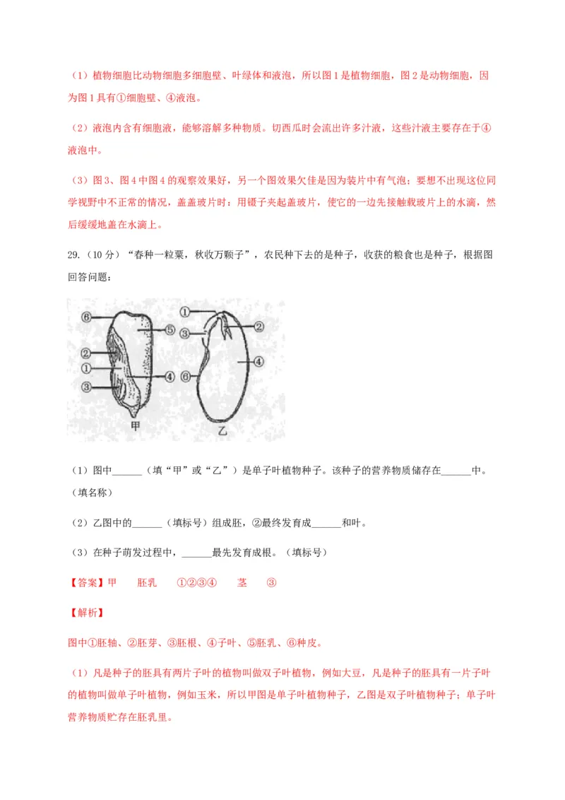 学易金卷：2020-2021学年七年级生物上学期期末测试卷01（人教版）（解析版）_1、初中学习资料_4-6、生物_4-6-1、初一生物上册_期末试卷（8份）