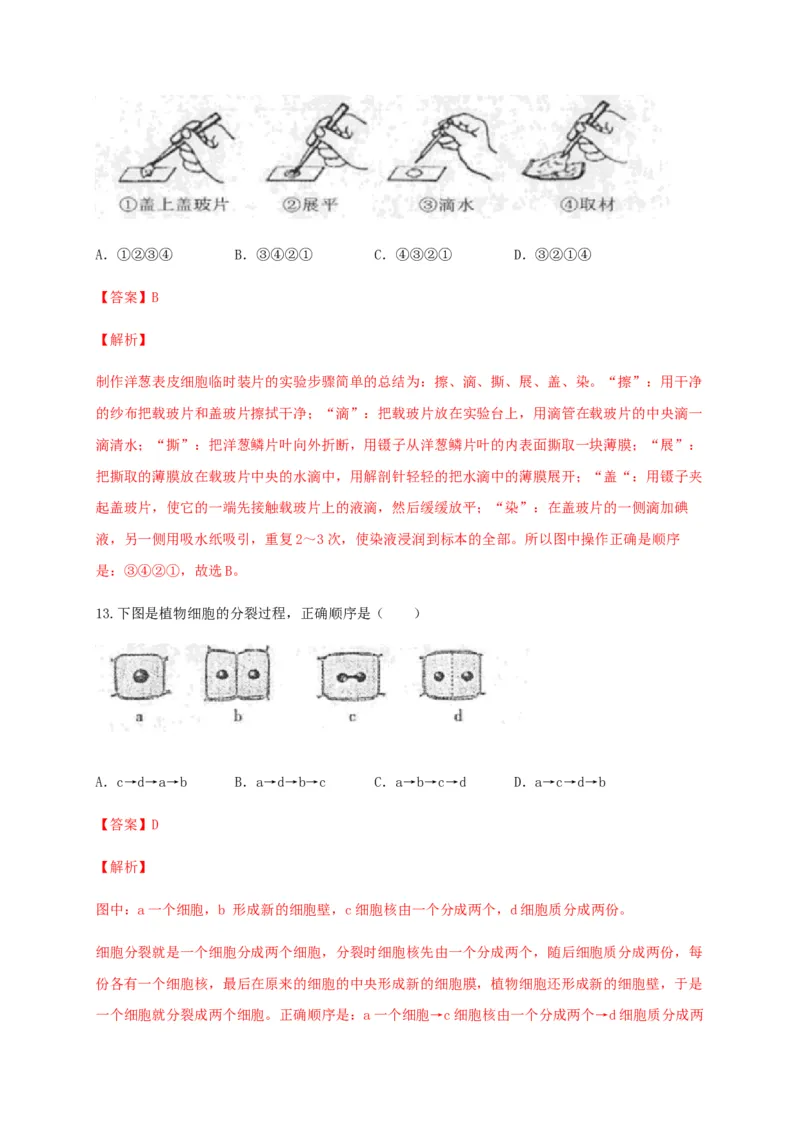 学易金卷：2020-2021学年七年级生物上学期期末测试卷01（人教版）（解析版）_1、初中学习资料_4-6、生物_4-6-1、初一生物上册_期末试卷（8份）