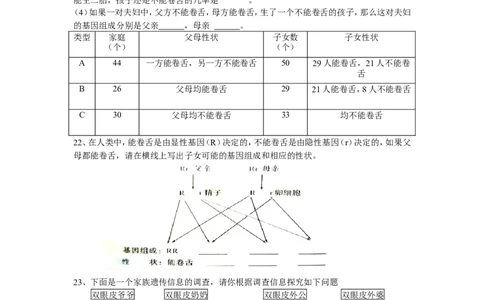 基因的显性和隐性同步学习2含答案_1、初中学习资料_4-6、生物_4-6-4、初二生物下册_1、同步练习（67份）_赠送同步练习53份_7.2生物的遗传与变异_第3节基因的显性和隐性
