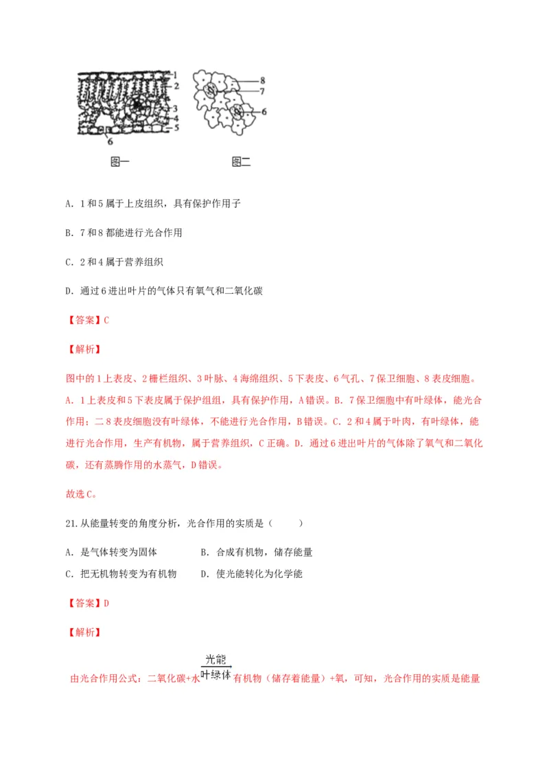 学易金卷：2020-2021学年七年级生物上学期期末测试卷02（人教版）（解析版）_1、初中学习资料_4-6、生物_4-6-1、初一生物上册_期末试卷（8份）