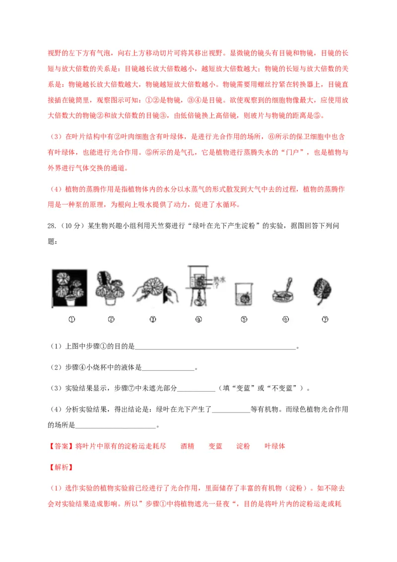 学易金卷：2020-2021学年七年级生物上学期期末测试卷02（人教版）（解析版）_1、初中学习资料_4-6、生物_4-6-1、初一生物上册_期末试卷（8份）