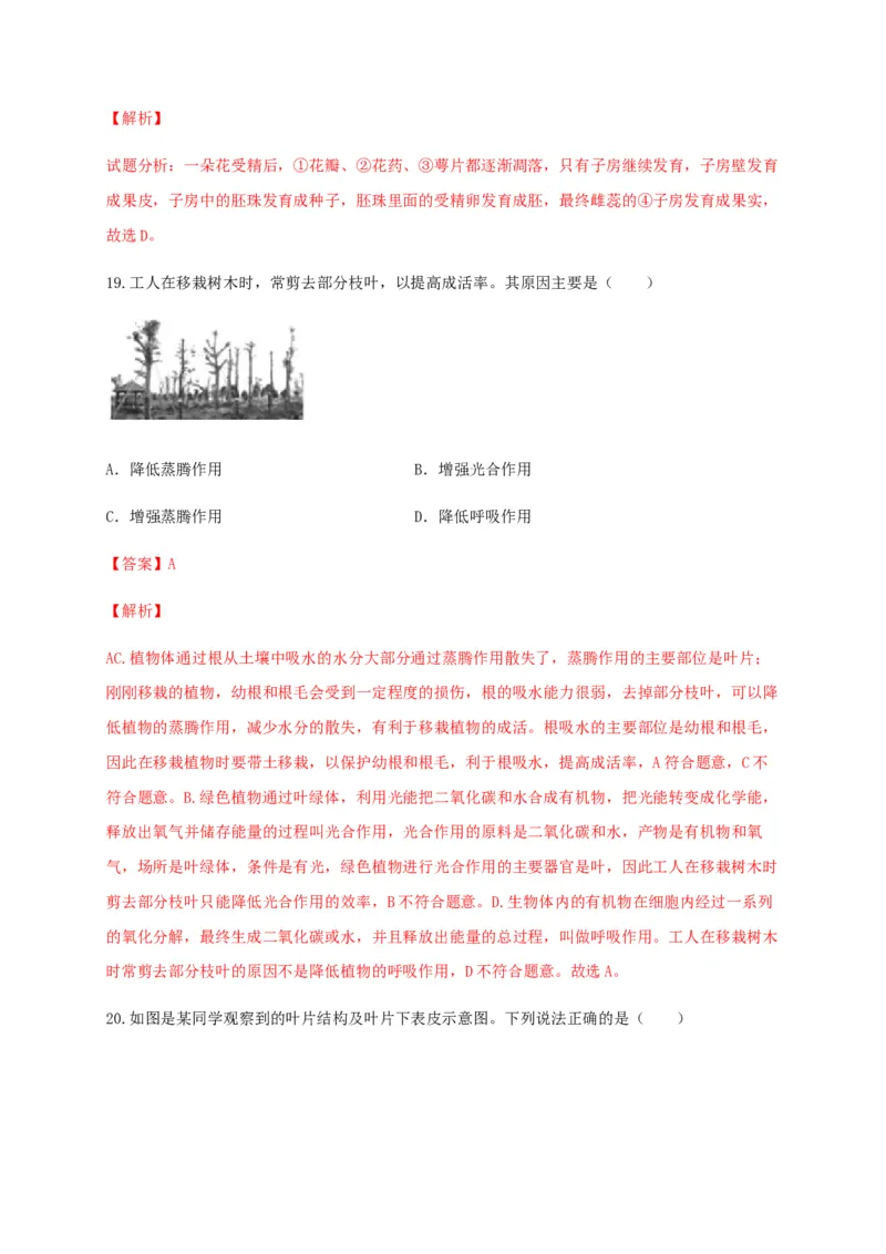 学易金卷：2020-2021学年七年级生物上学期期末测试卷02（人教版）（解析版）_1、初中学习资料_4-6、生物_4-6-1、初一生物上册_期末试卷（8份）