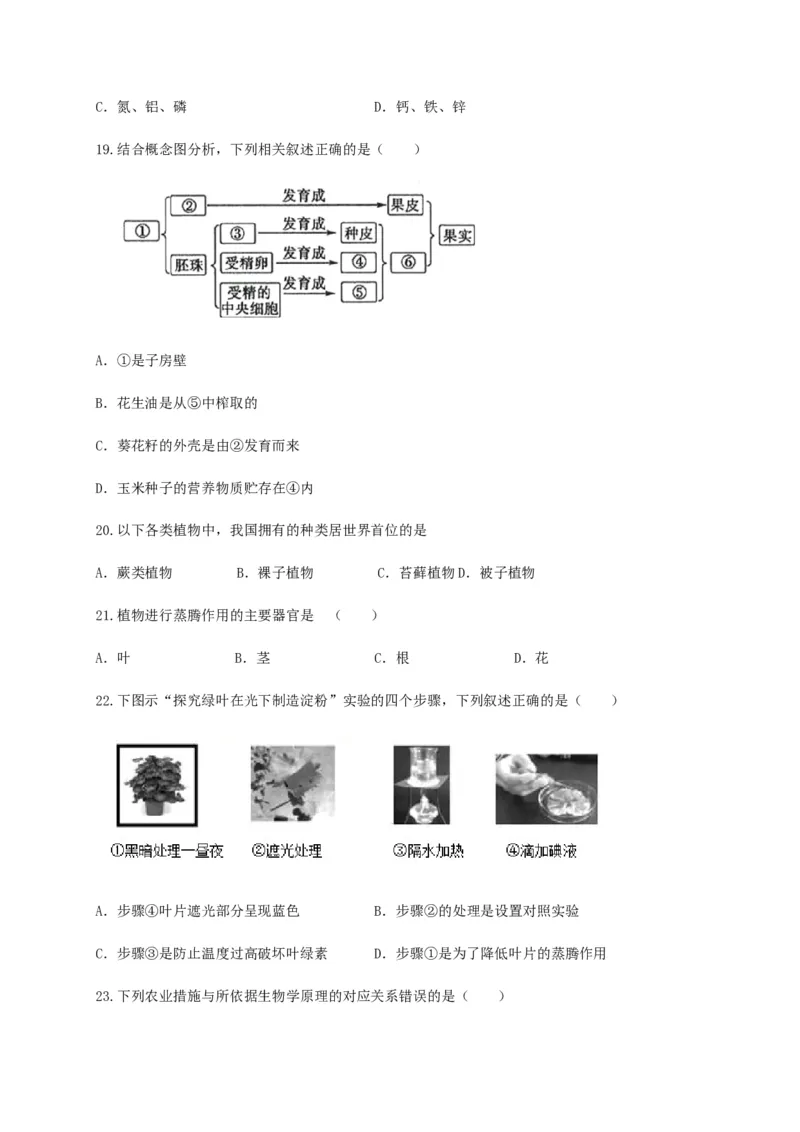 学易金卷：2020-2021学年七年级生物上学期期末测试卷01（人教版）（原卷版）_1、初中学习资料_4-6、生物_4-6-1、初一生物上册_期末试卷（8份）