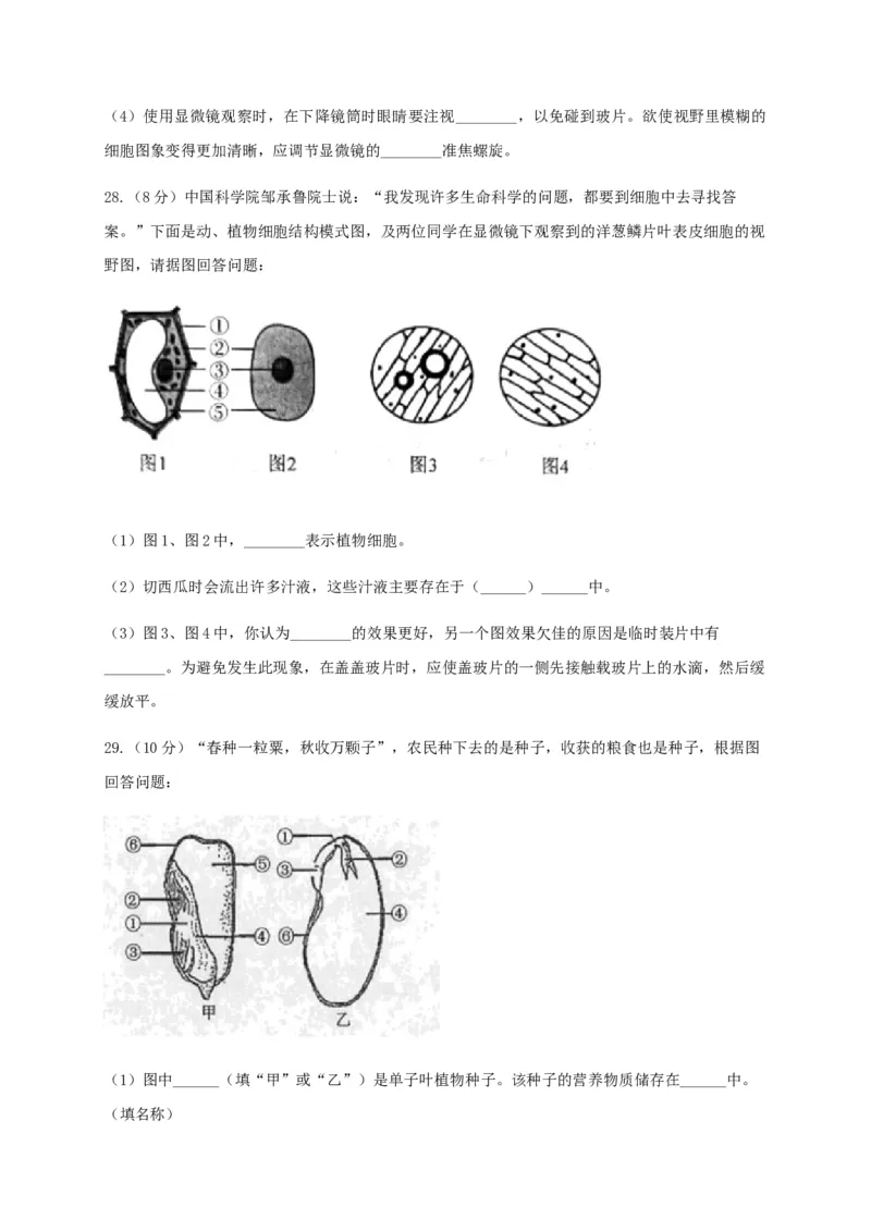 学易金卷：2020-2021学年七年级生物上学期期末测试卷01（人教版）（原卷版）_1、初中学习资料_4-6、生物_4-6-1、初一生物上册_期末试卷（8份）
