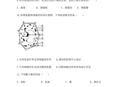 学易金卷：2020-2021学年七年级生物上学期期末测试卷01（人教版）（原卷版）_1、初中学习资料_4-6、生物_4-6-1、初一生物上册_期末试卷（8份）