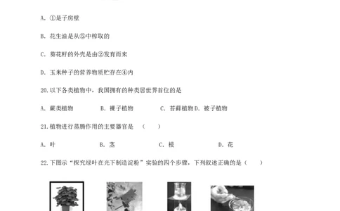 学易金卷：2020-2021学年七年级生物上学期期末测试卷01（人教版）（原卷版）_1、初中学习资料_4-6、生物_4-6-1、初一生物上册_期末试卷（8份）