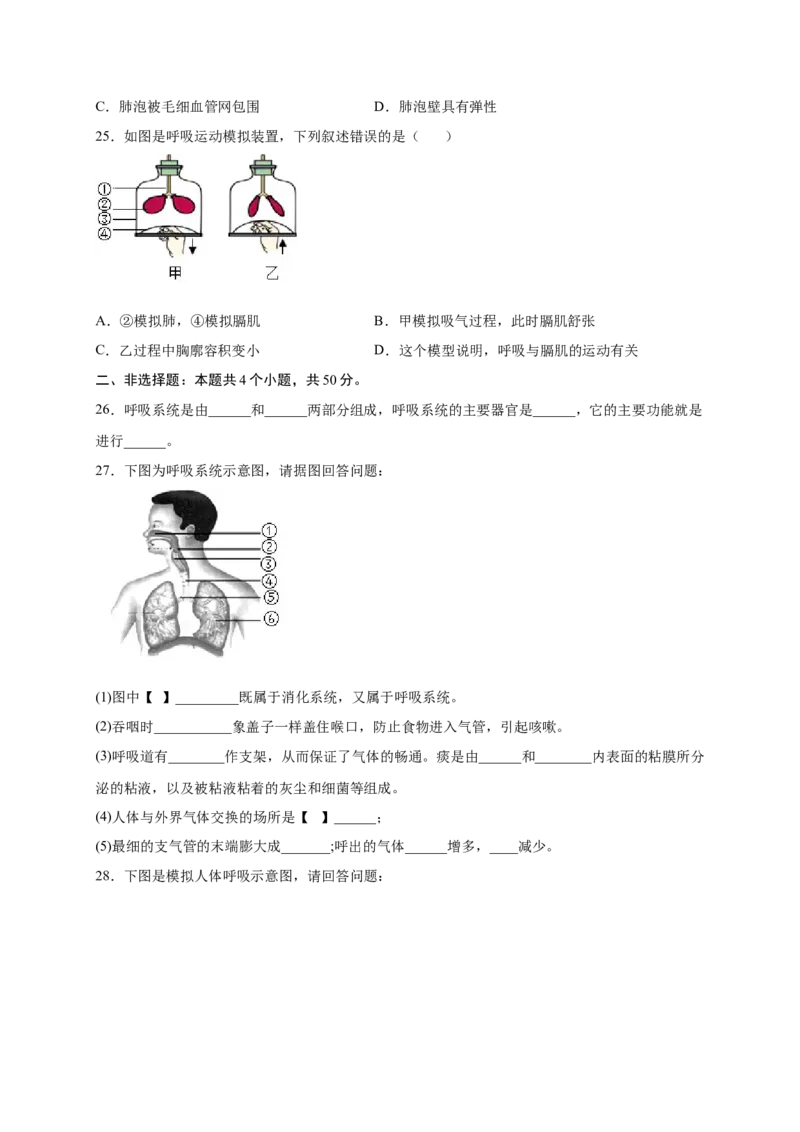 第三章人体的呼吸（基础突破卷）-2021-2022学年七年级生物下册基础与培优高效突破测试卷（人教版）（原卷版）_new_1、初中学习资料_4-6、生物_4-6-2、初一生物下册
