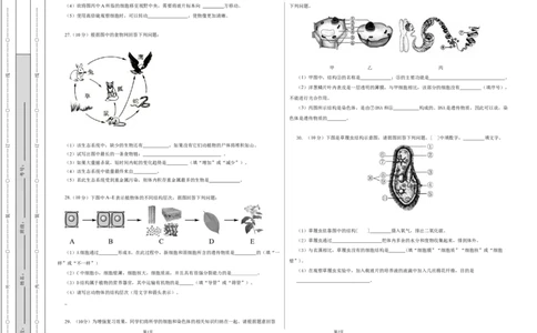 学易金卷：2021-2022学年七年级生物上学期期中测试卷（人教版）02（考试版）_1、初中学习资料_4-6、生物_4-6-1、初一生物上册_期中试卷（5份）